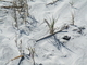 DSCF0029