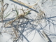 DSCF0031