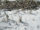 DSCF0033