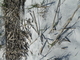 DSCF0036